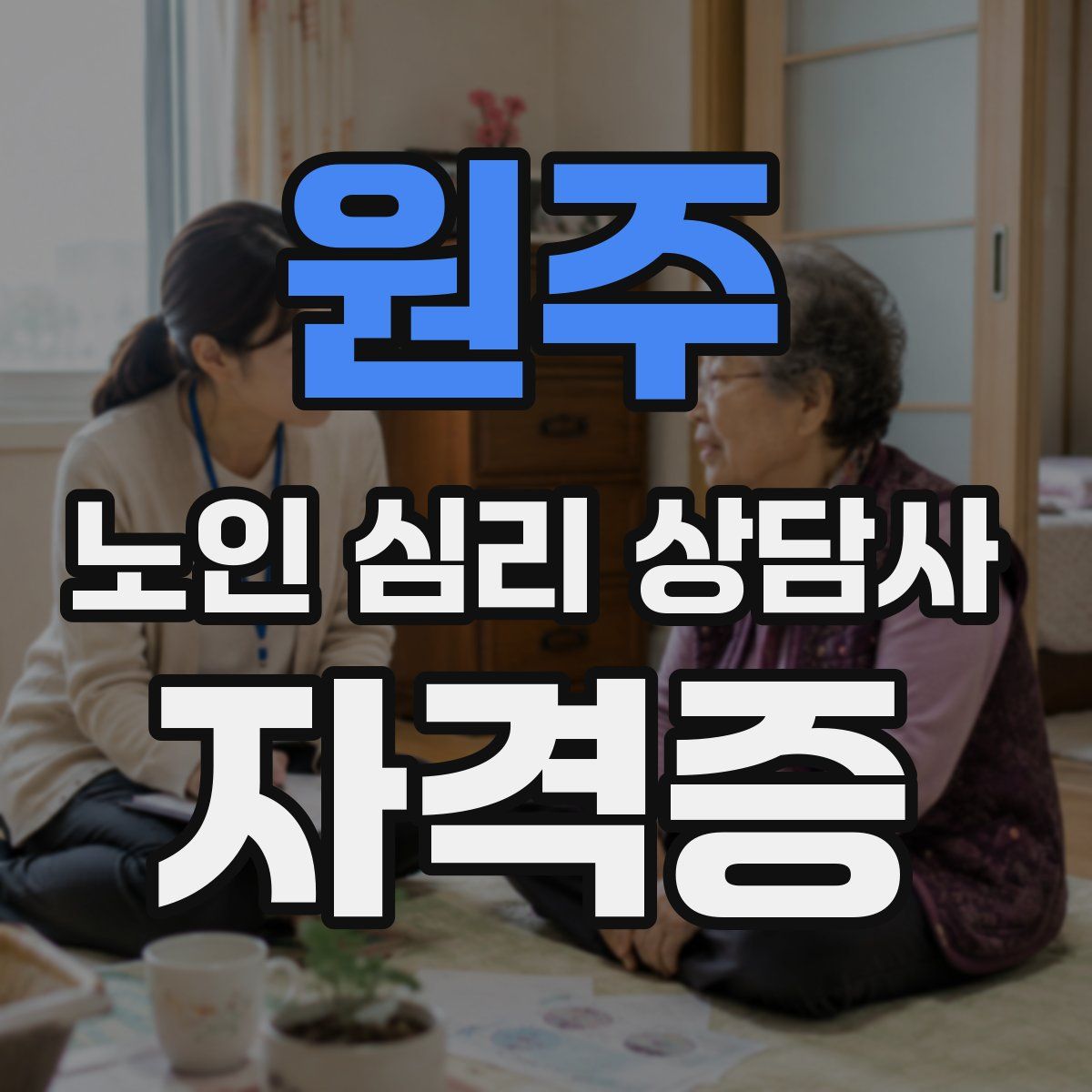 원주 노인 심리 상담사 자격증