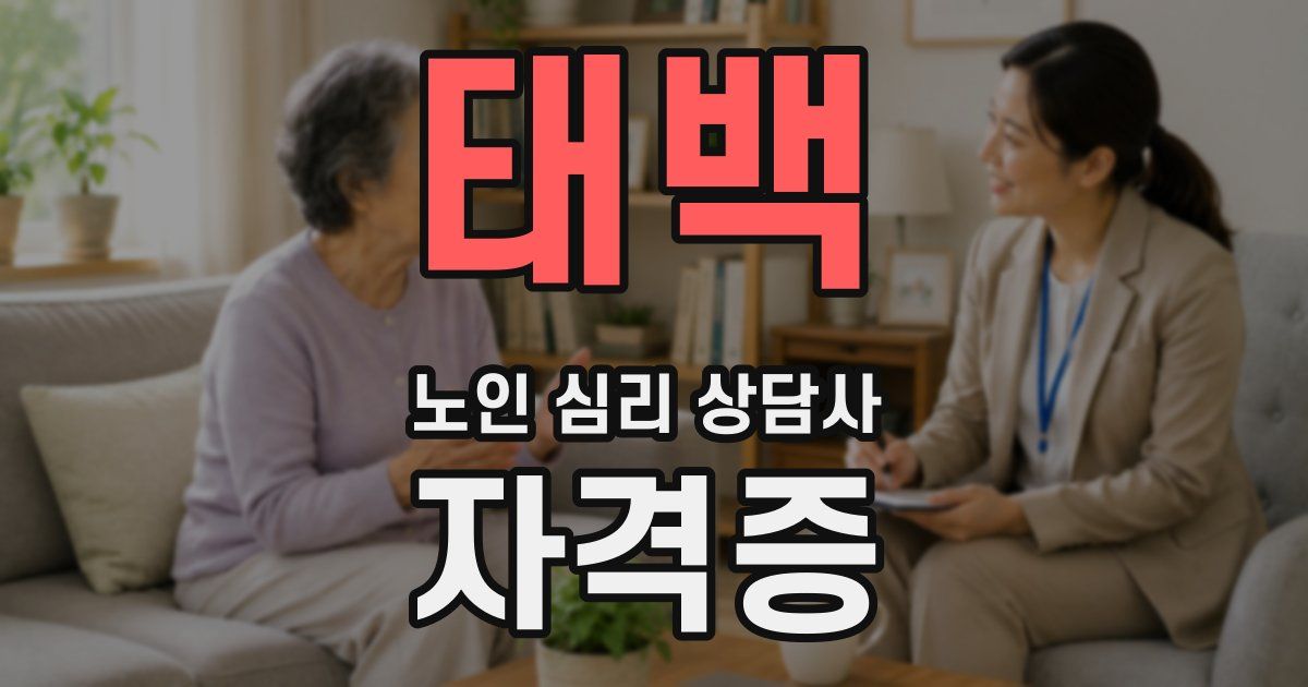 태백 노인 심리 상담사 자격증