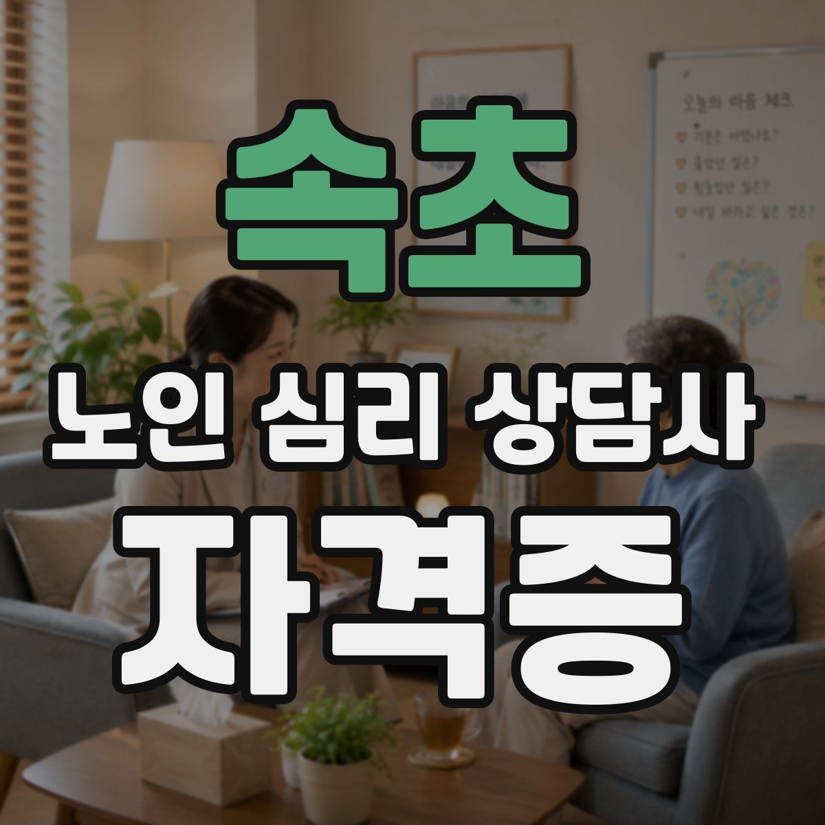 속초 노인 심리 상담사 자격증