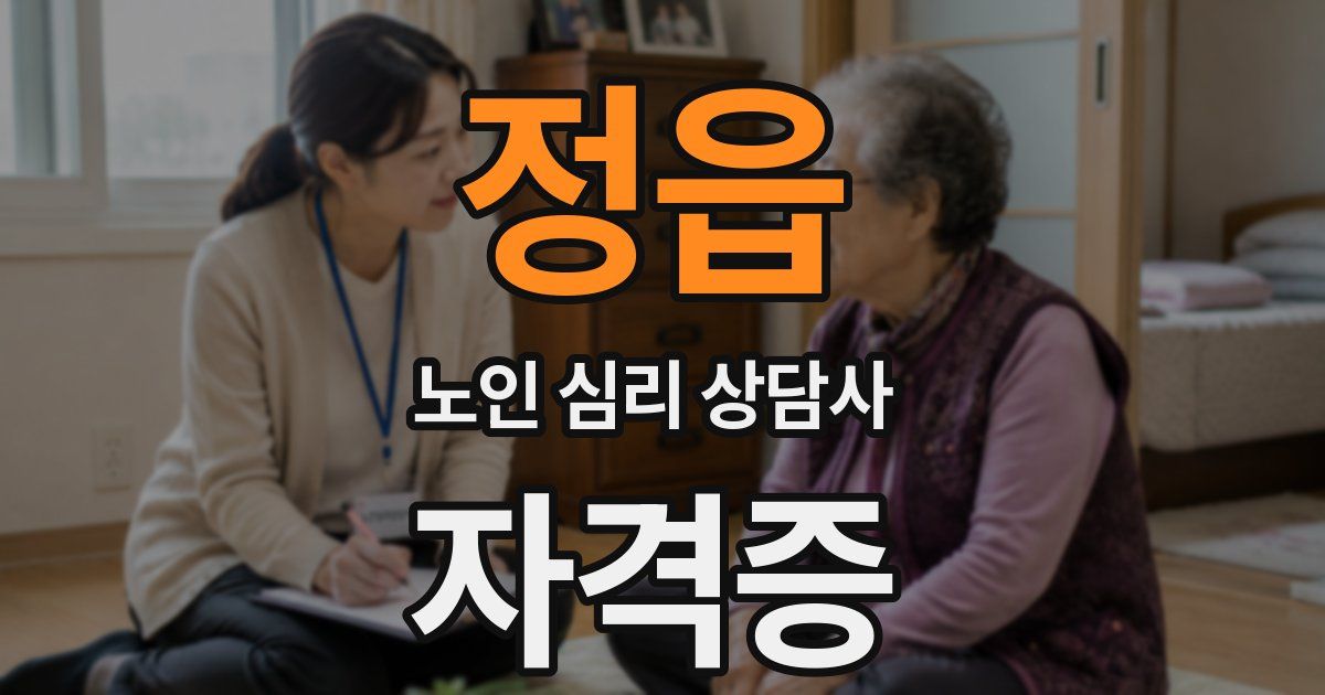 정읍 노인 심리 상담사 자격증