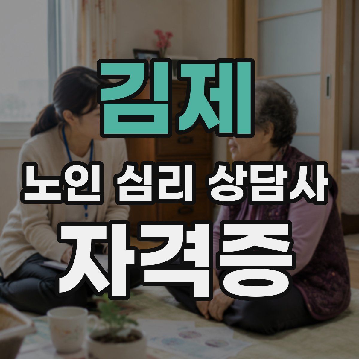 김제 노인 심리 상담사 자격증