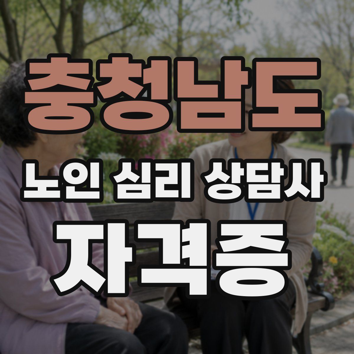 충청남도 노인 심리 상담사 자격증