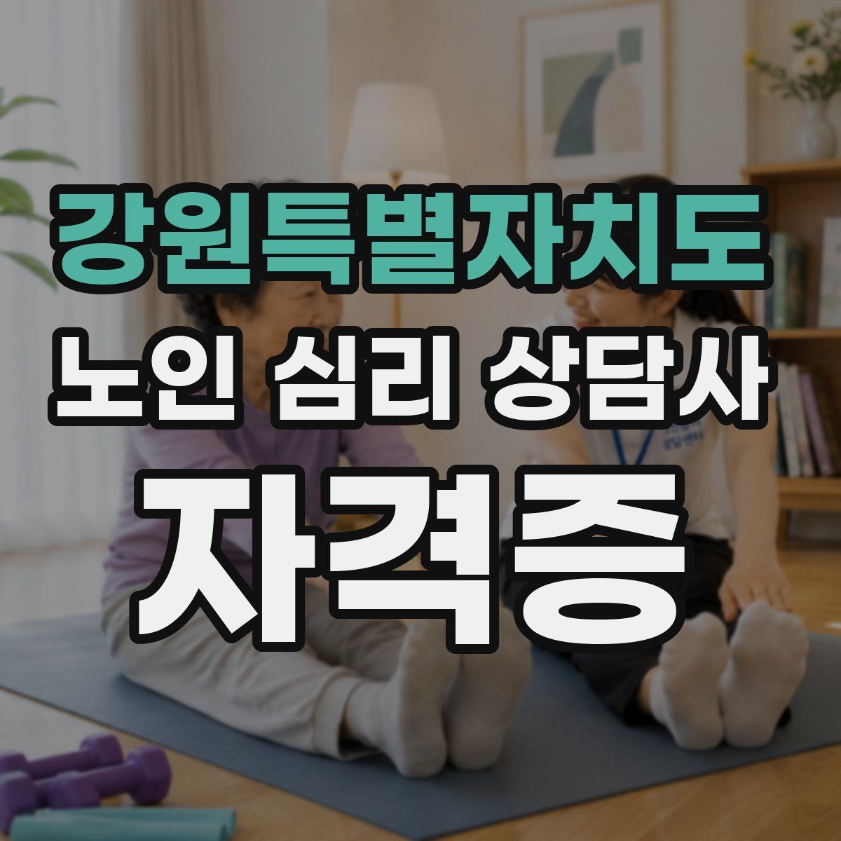 강원특별자치도 노인 심리 상담사 자격증