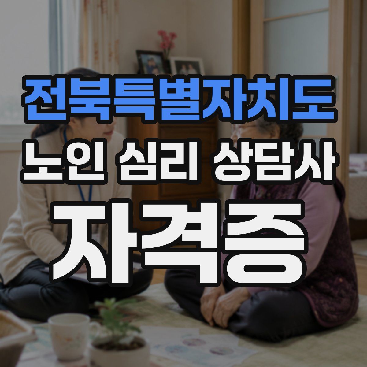 전북특별자치도 노인 심리 상담사 자격증
