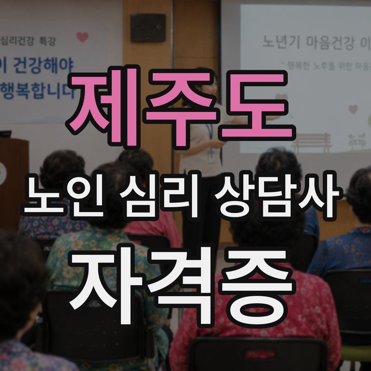 제주도 노인 심리 상담사 자격증