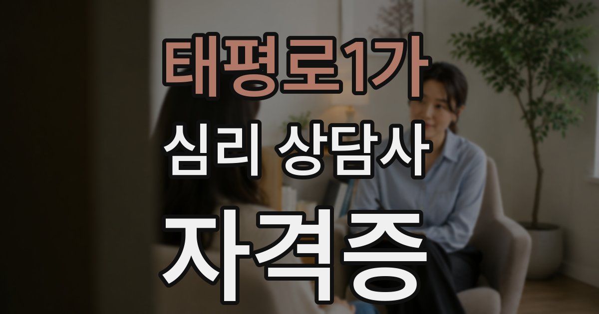 태평로1가 심리 상담사 자격증