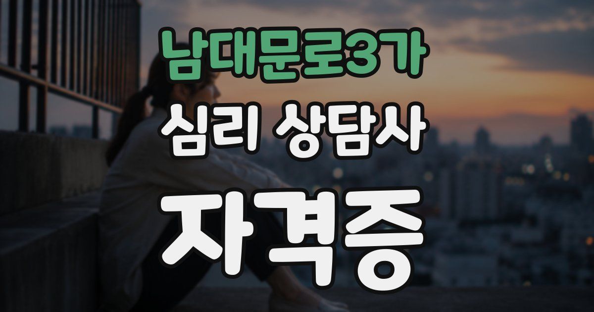 남대문로3가 심리 상담사 자격증