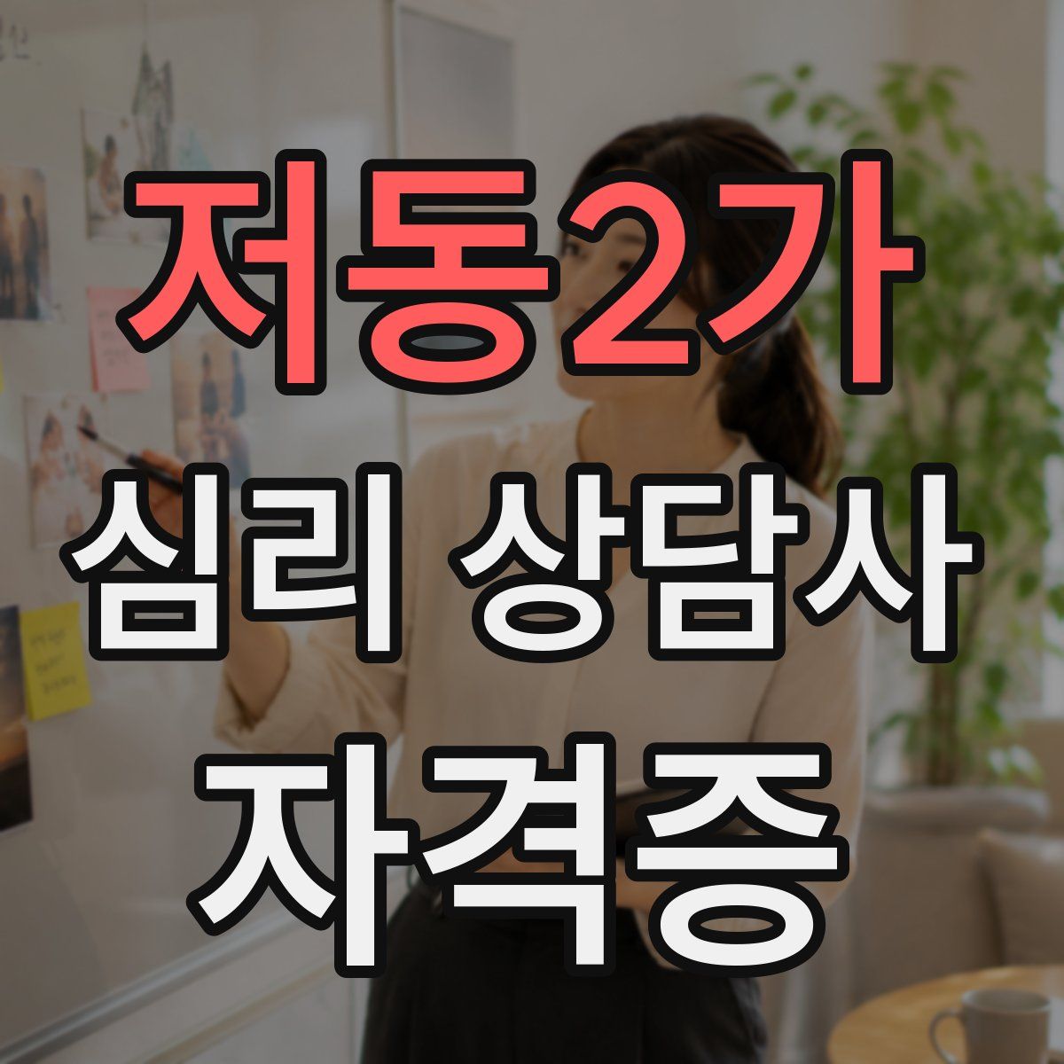 저동2가 심리 상담사 자격증