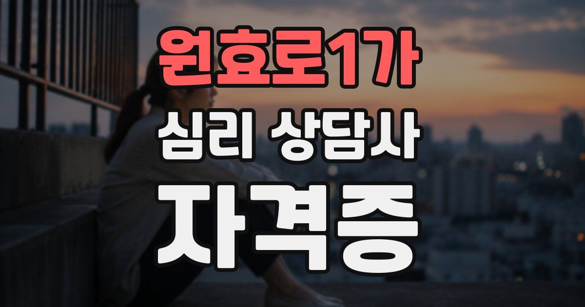 원효로1가 심리 상담사 자격증