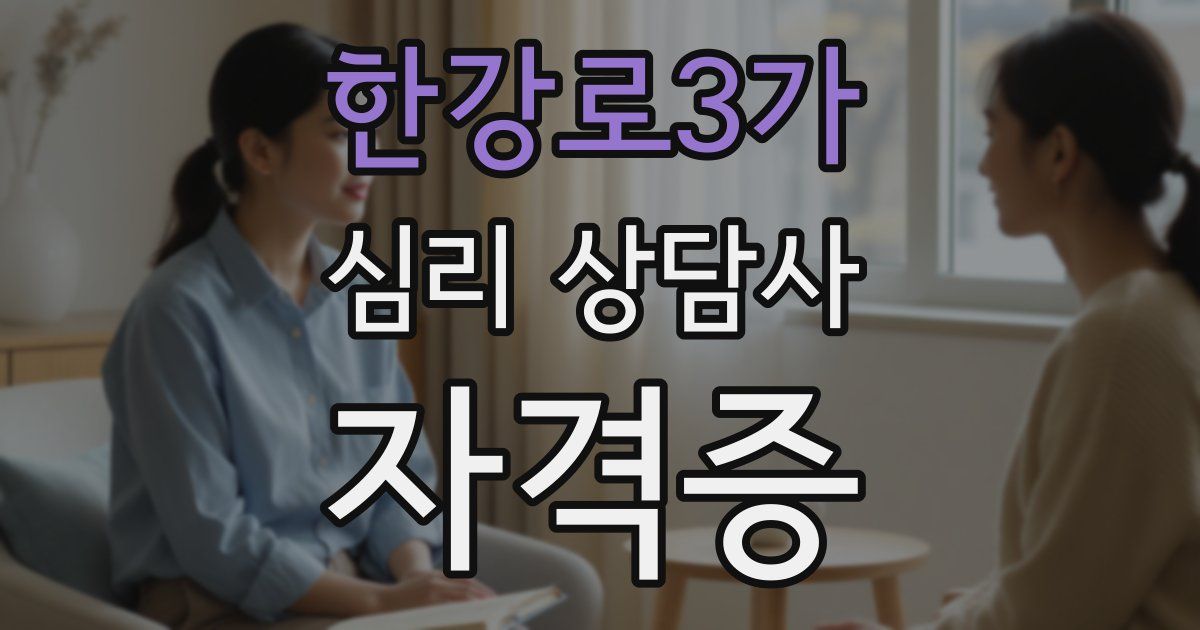 한강로3가 심리 상담사 자격증