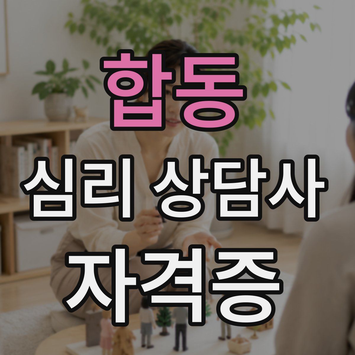합동 심리 상담사 자격증