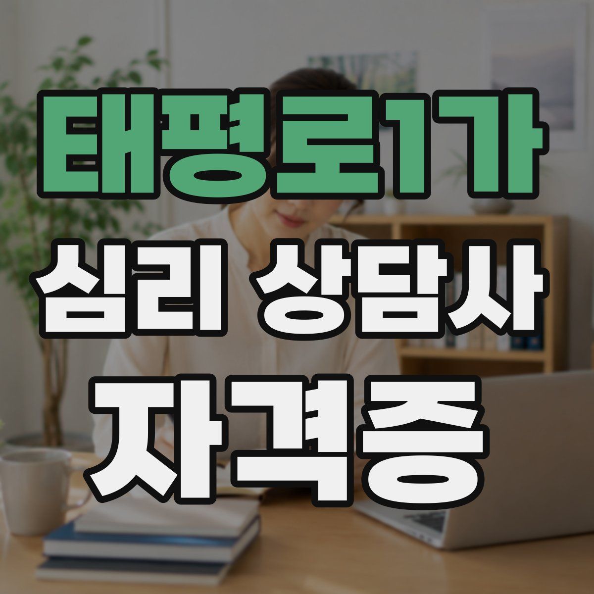 태평로1가 심리 상담사 자격증
