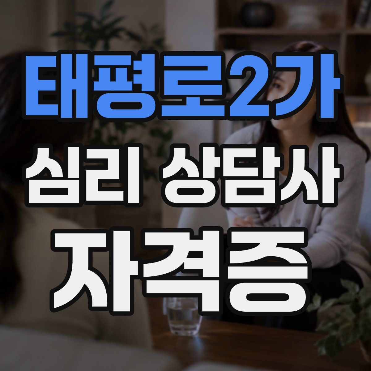 태평로2가 심리 상담사 자격증