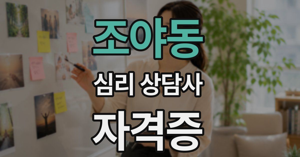 조야동 심리 상담사 자격증