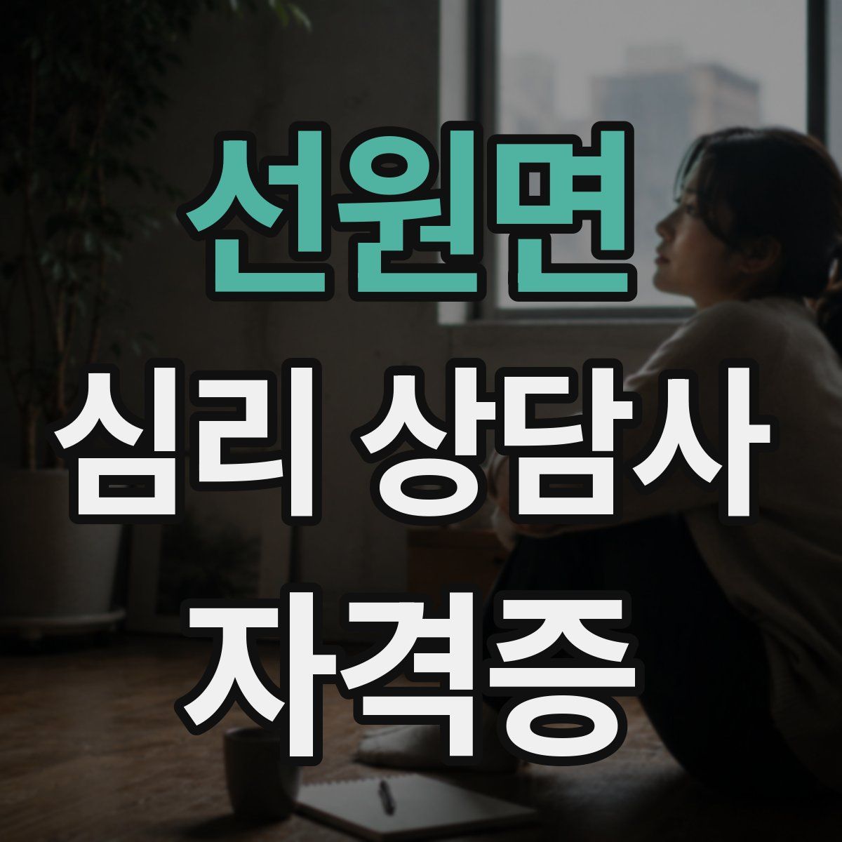 선원면 심리 상담사 자격증