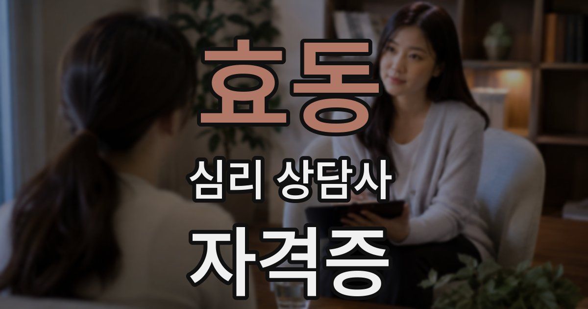 효동 심리 상담사 자격증