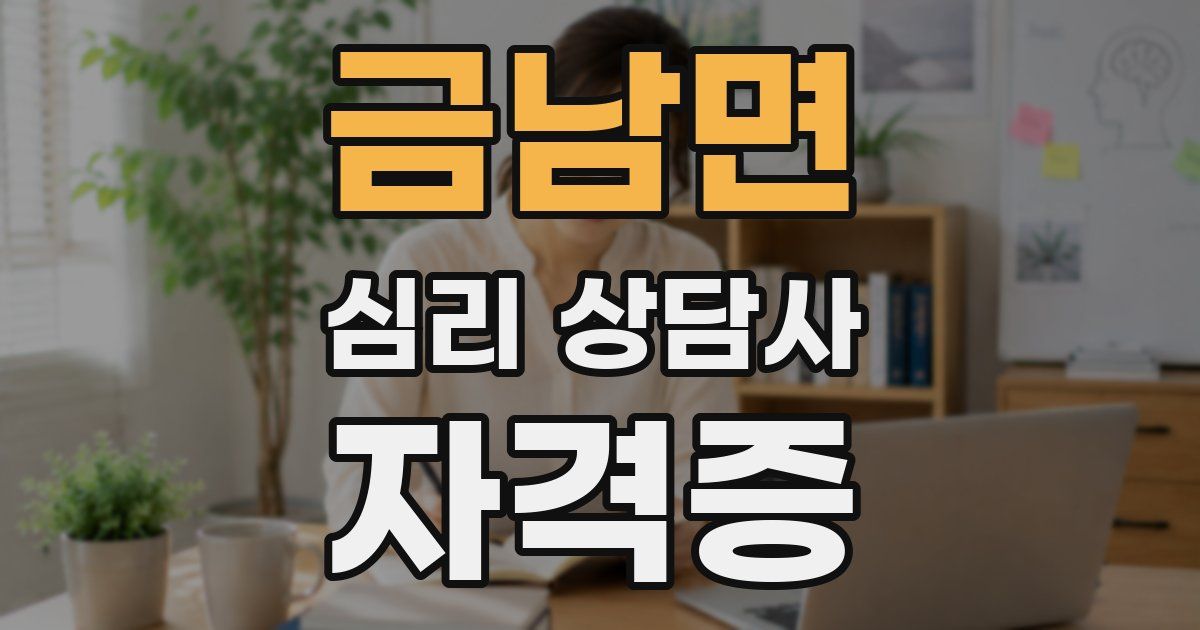 금남면 심리 상담사 자격증