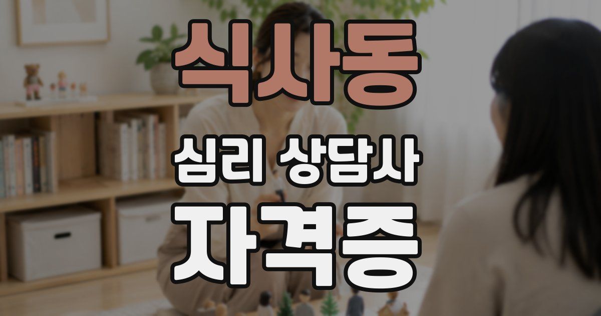 식사동 심리 상담사 자격증
