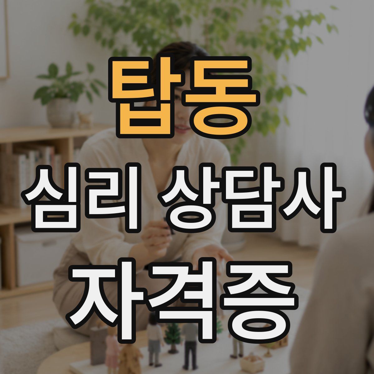 탑동 심리 상담사 자격증