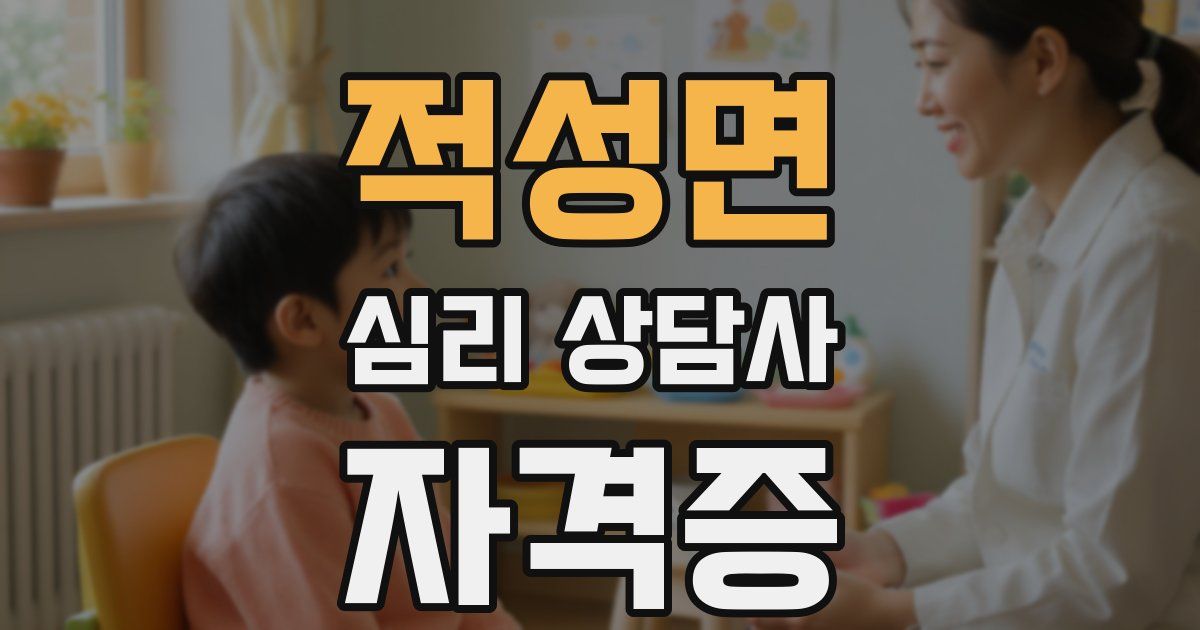 적성면 심리 상담사 자격증
