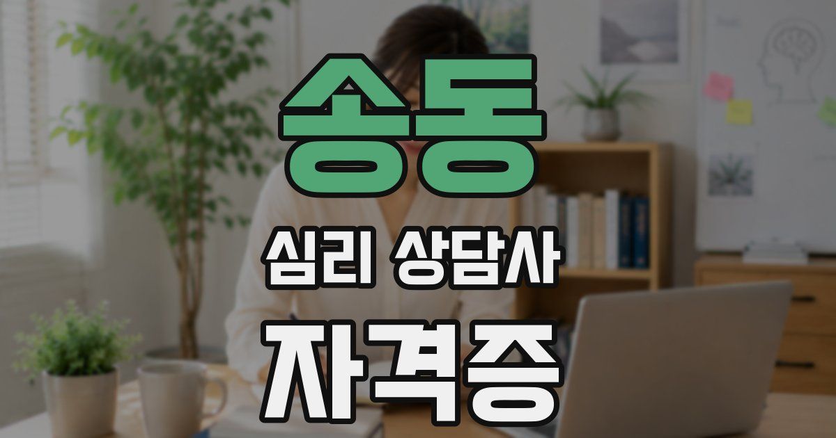 송동 심리 상담사 자격증