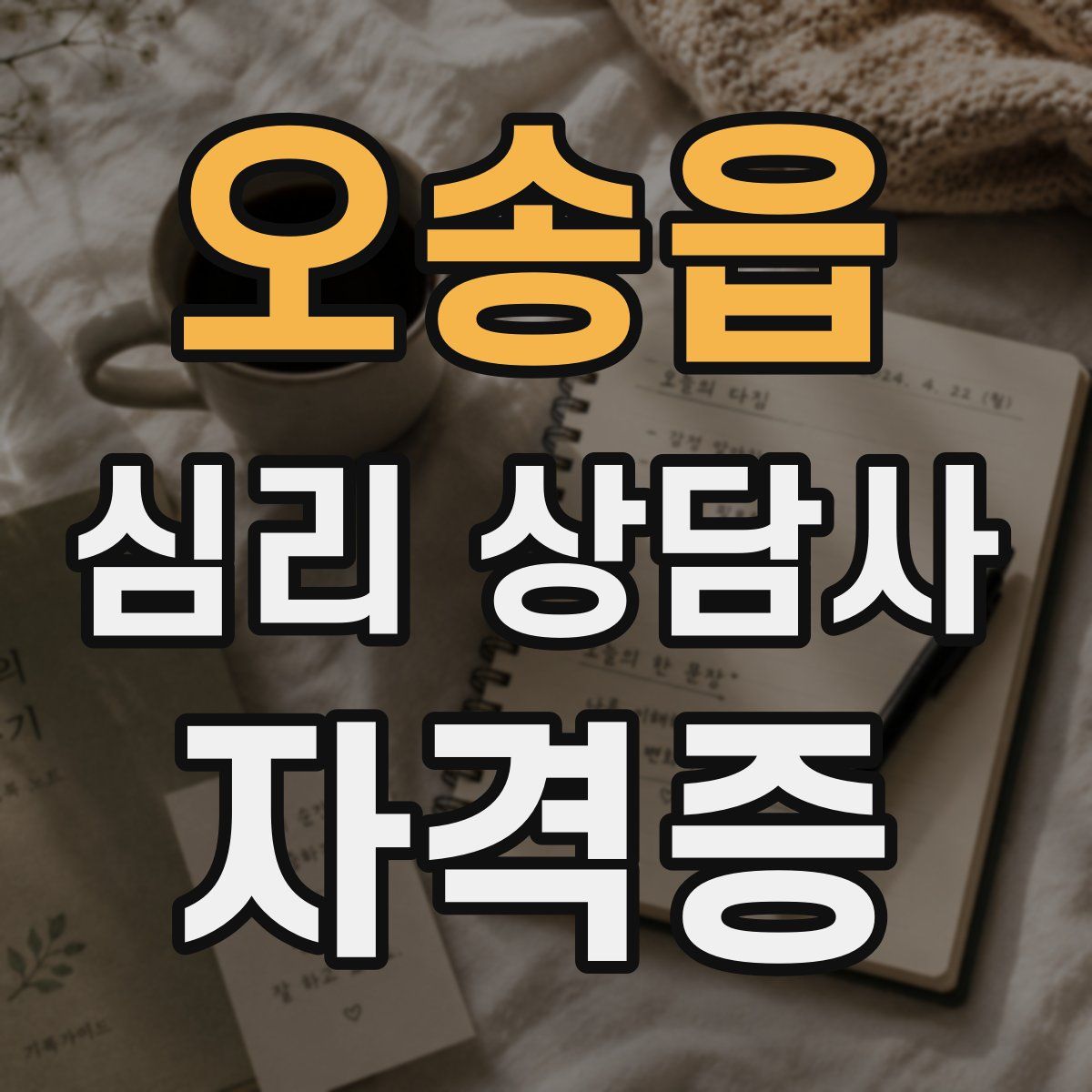 오송읍 심리 상담사 자격증