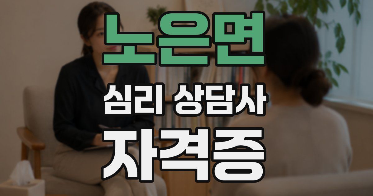 노은면 심리 상담사 자격증