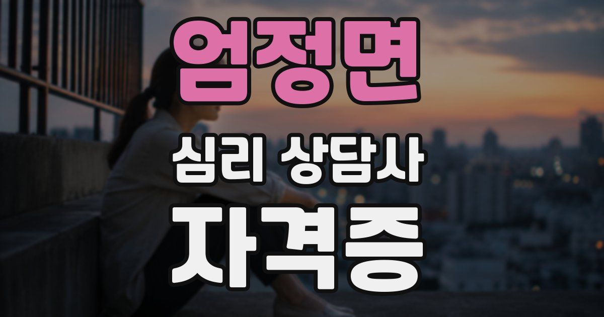 엄정면 심리 상담사 자격증