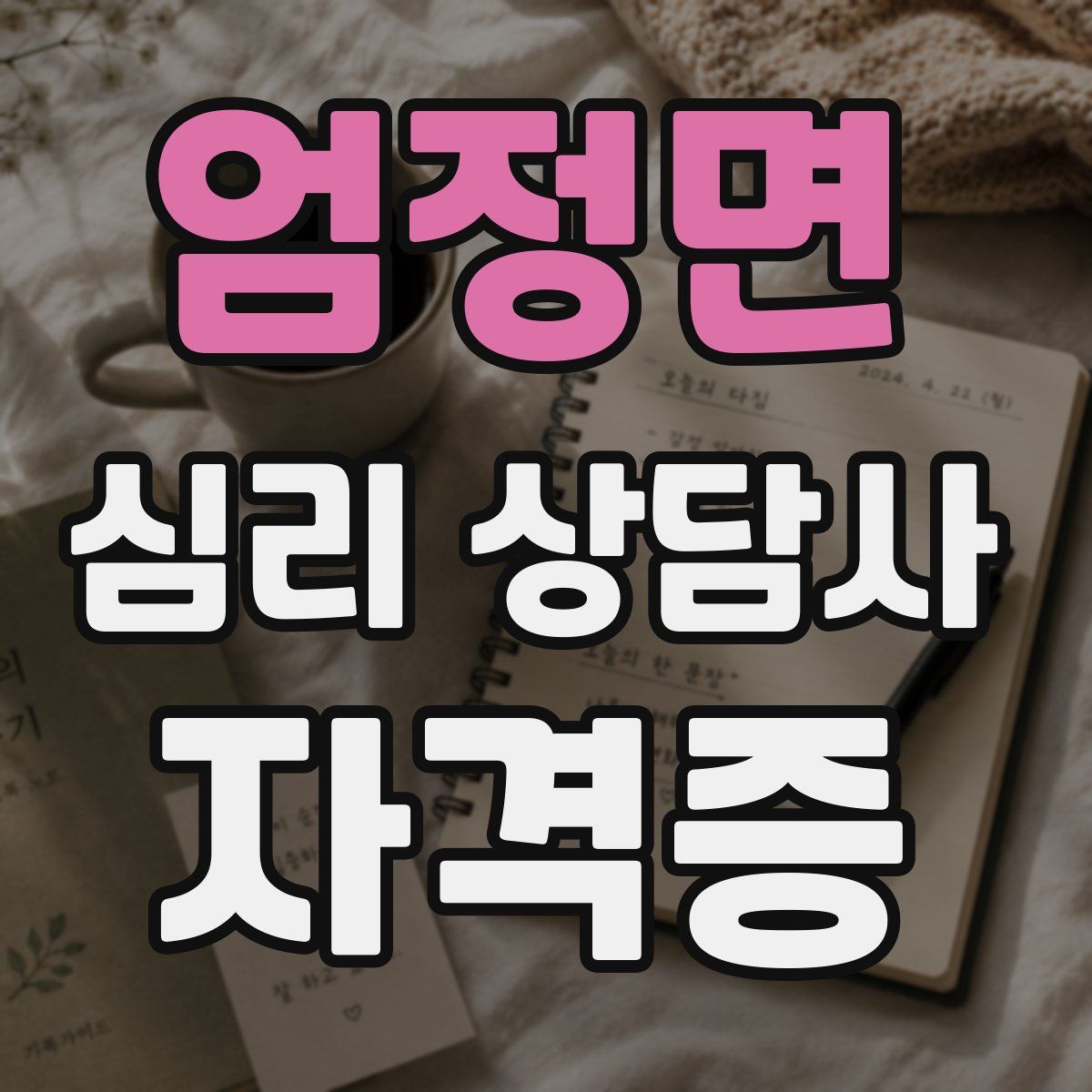 엄정면 심리 상담사 자격증