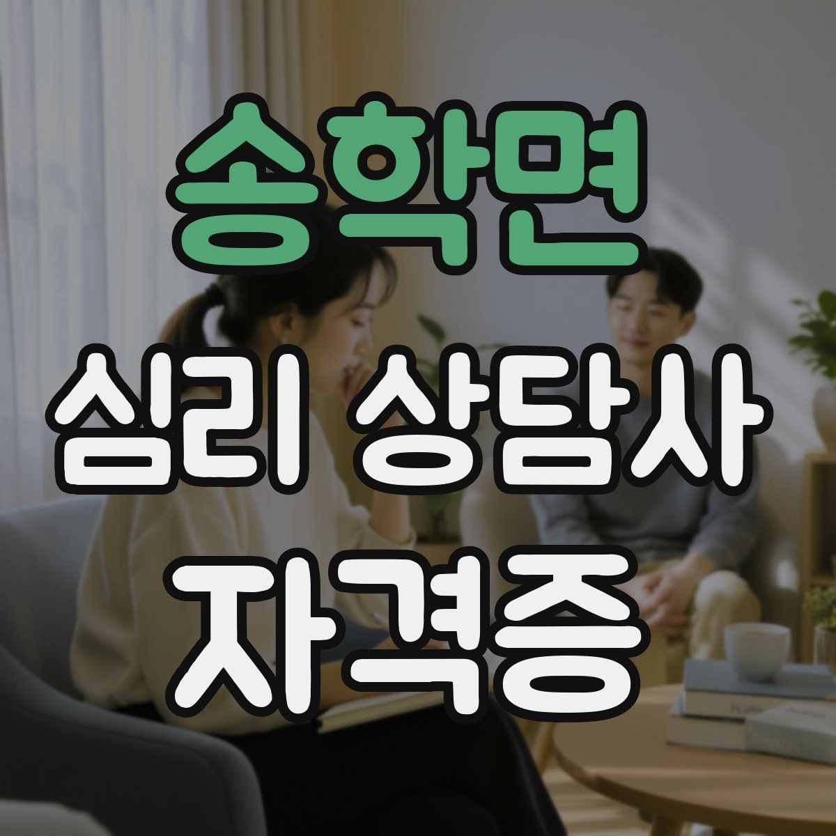 송학면 심리 상담사 자격증