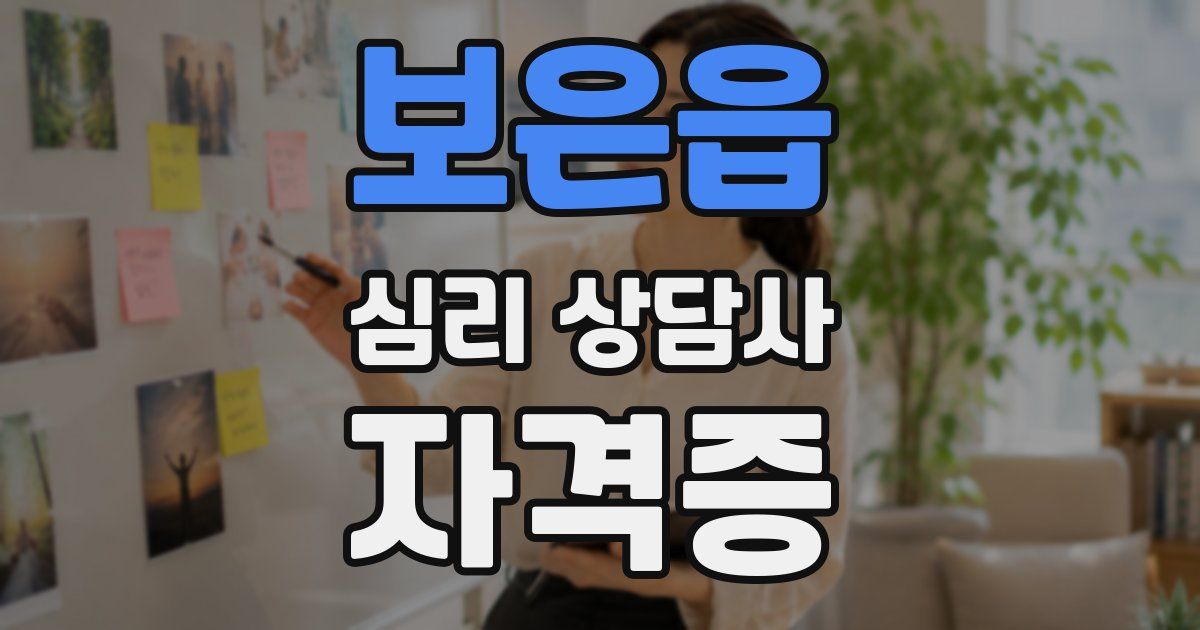 보은읍 심리 상담사 자격증