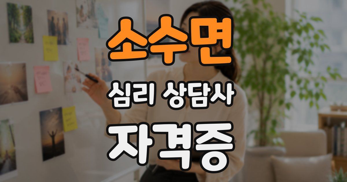 소수면 심리 상담사 자격증