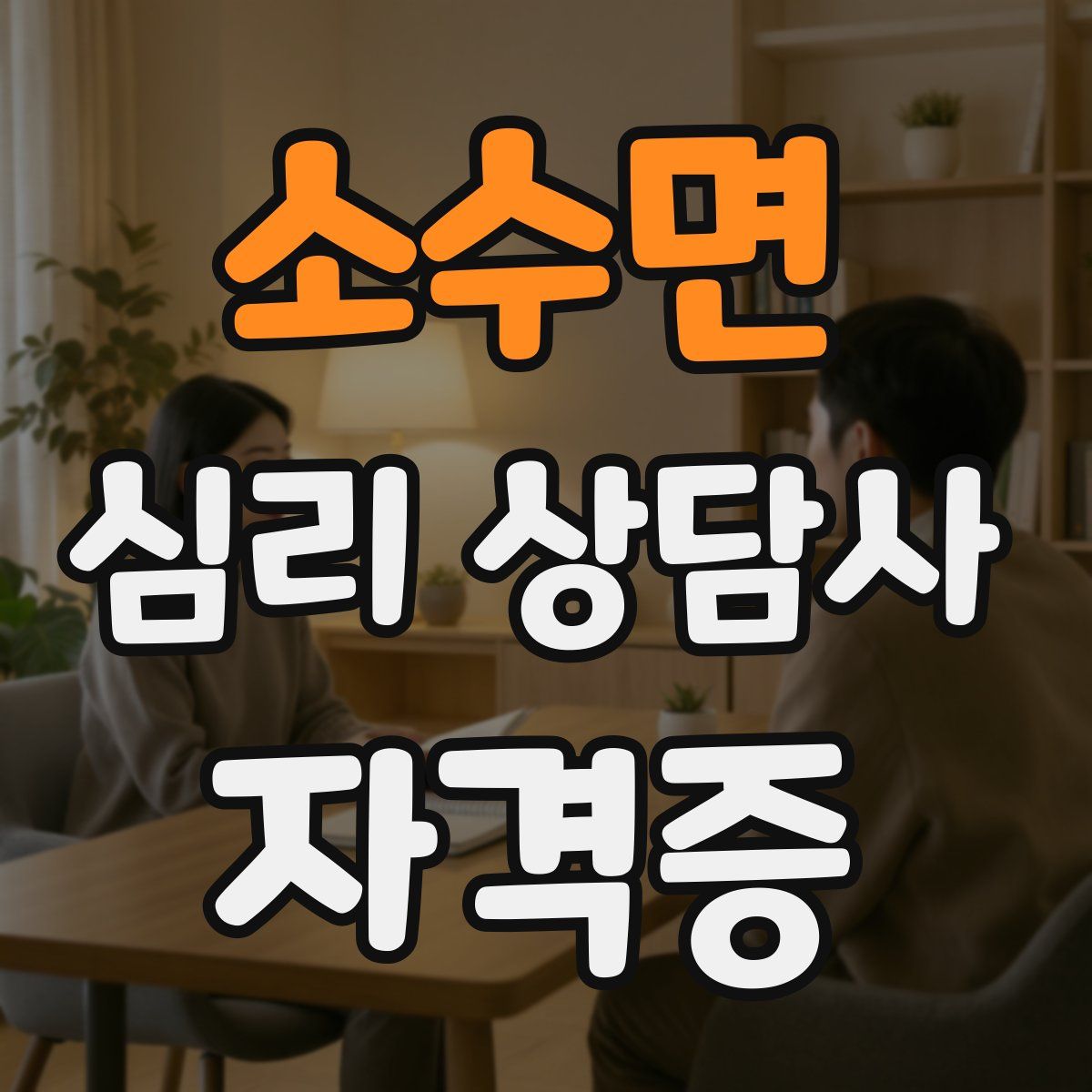 소수면 심리 상담사 자격증