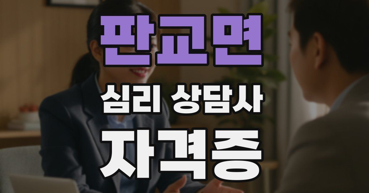 판교면 심리 상담사 자격증