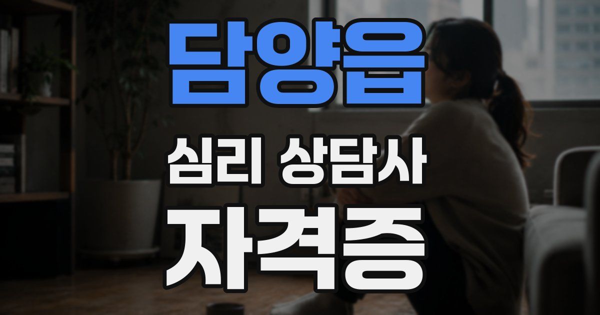 담양읍 심리 상담사 자격증
