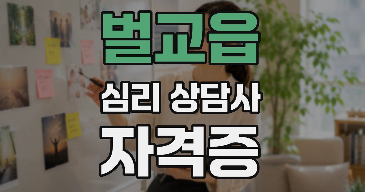 벌교읍 심리 상담사 자격증