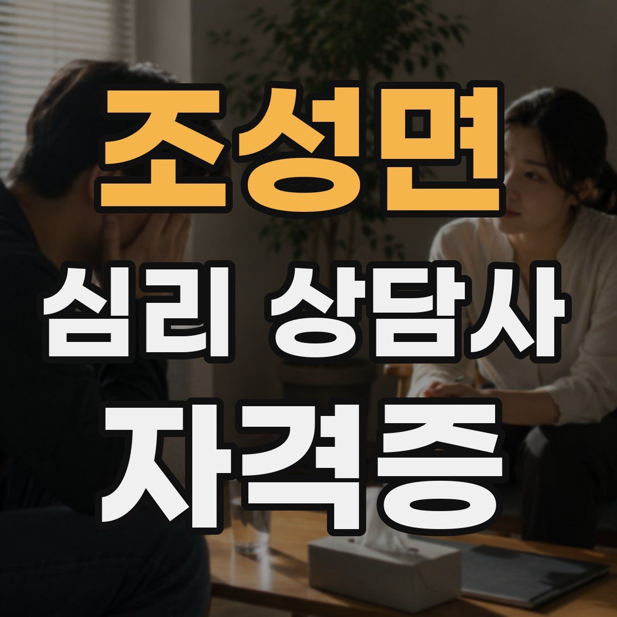 조성면 심리 상담사 자격증