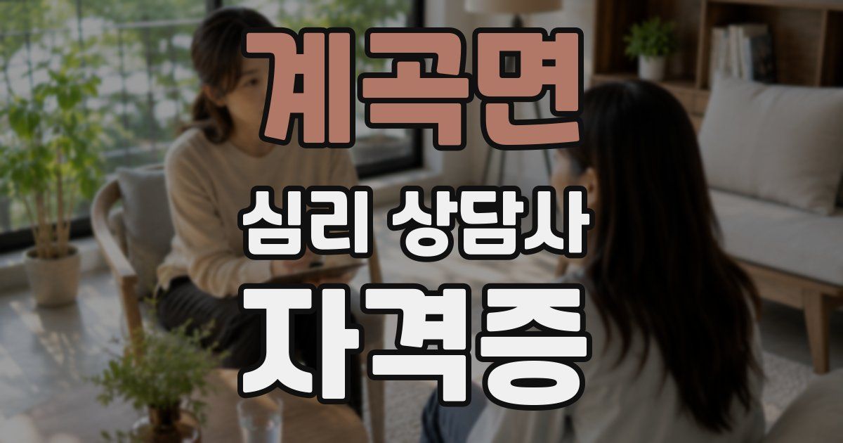 계곡면 심리 상담사 자격증