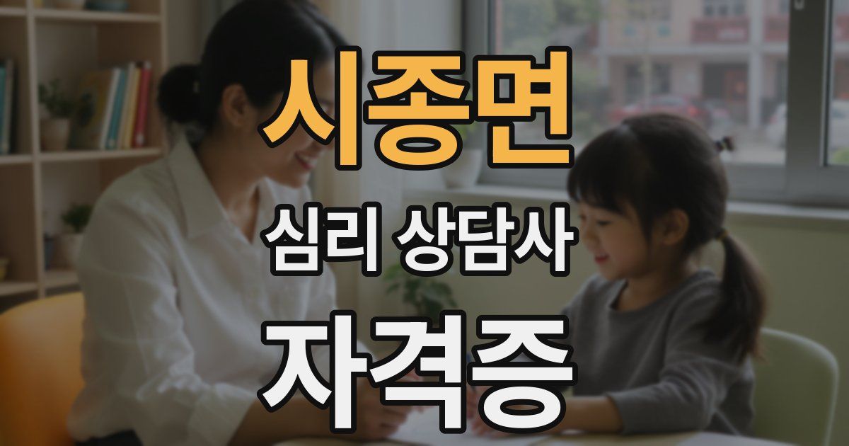 시종면 심리 상담사 자격증