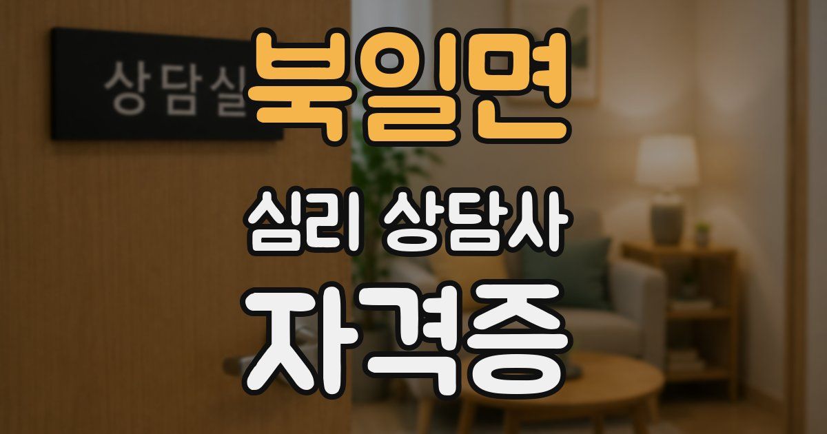 북일면 심리 상담사 자격증