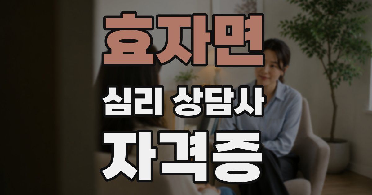 효자면 심리 상담사 자격증