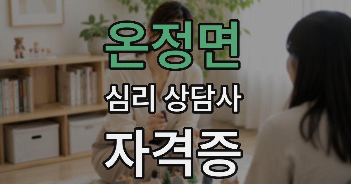 온정면 심리 상담사 자격증