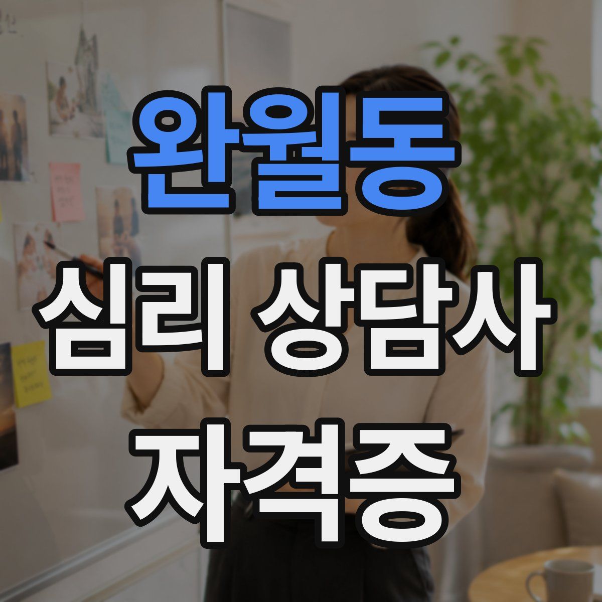 완월동 심리 상담사 자격증