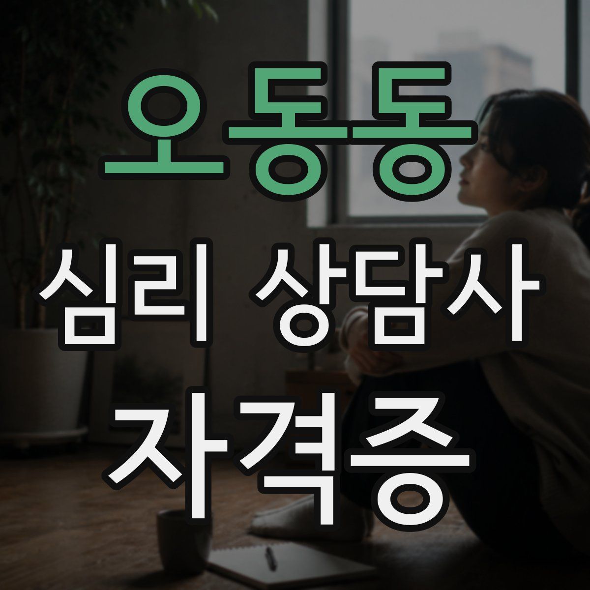 오동동 심리 상담사 자격증