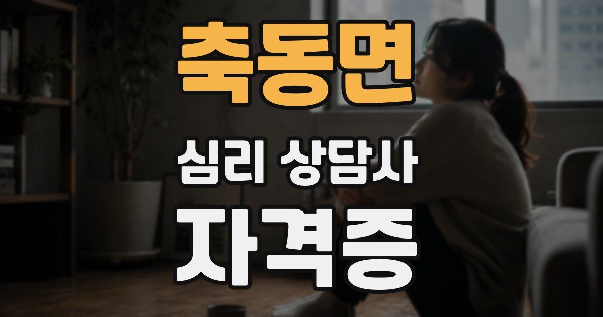 축동면 심리 상담사 자격증