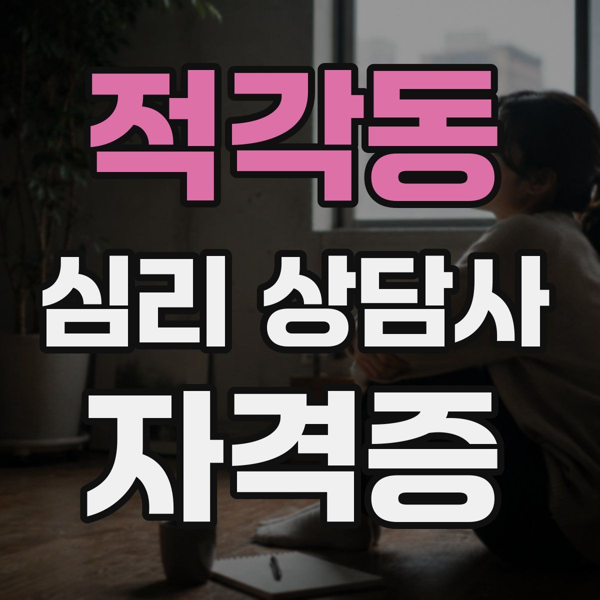 적각동 심리 상담사 자격증