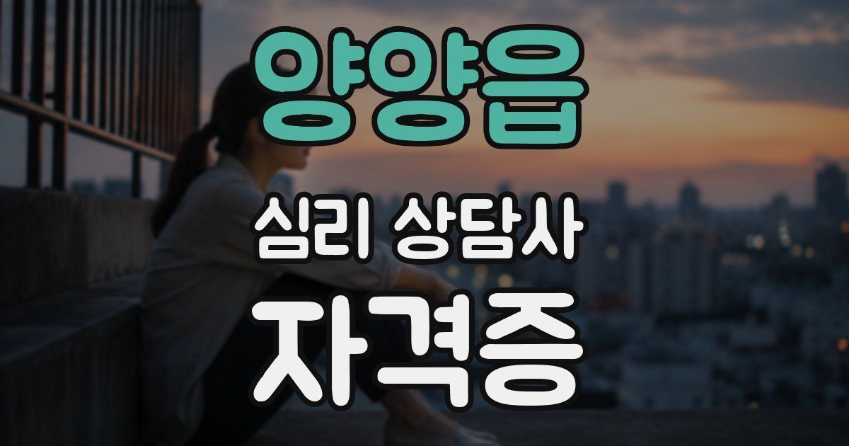 양양읍 심리 상담사 자격증