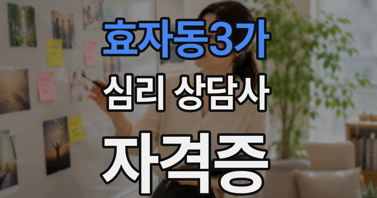 효자동3가 심리 상담사 자격증