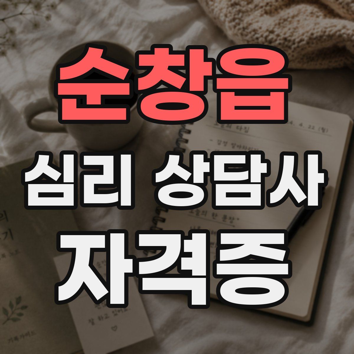 순창읍 심리 상담사 자격증