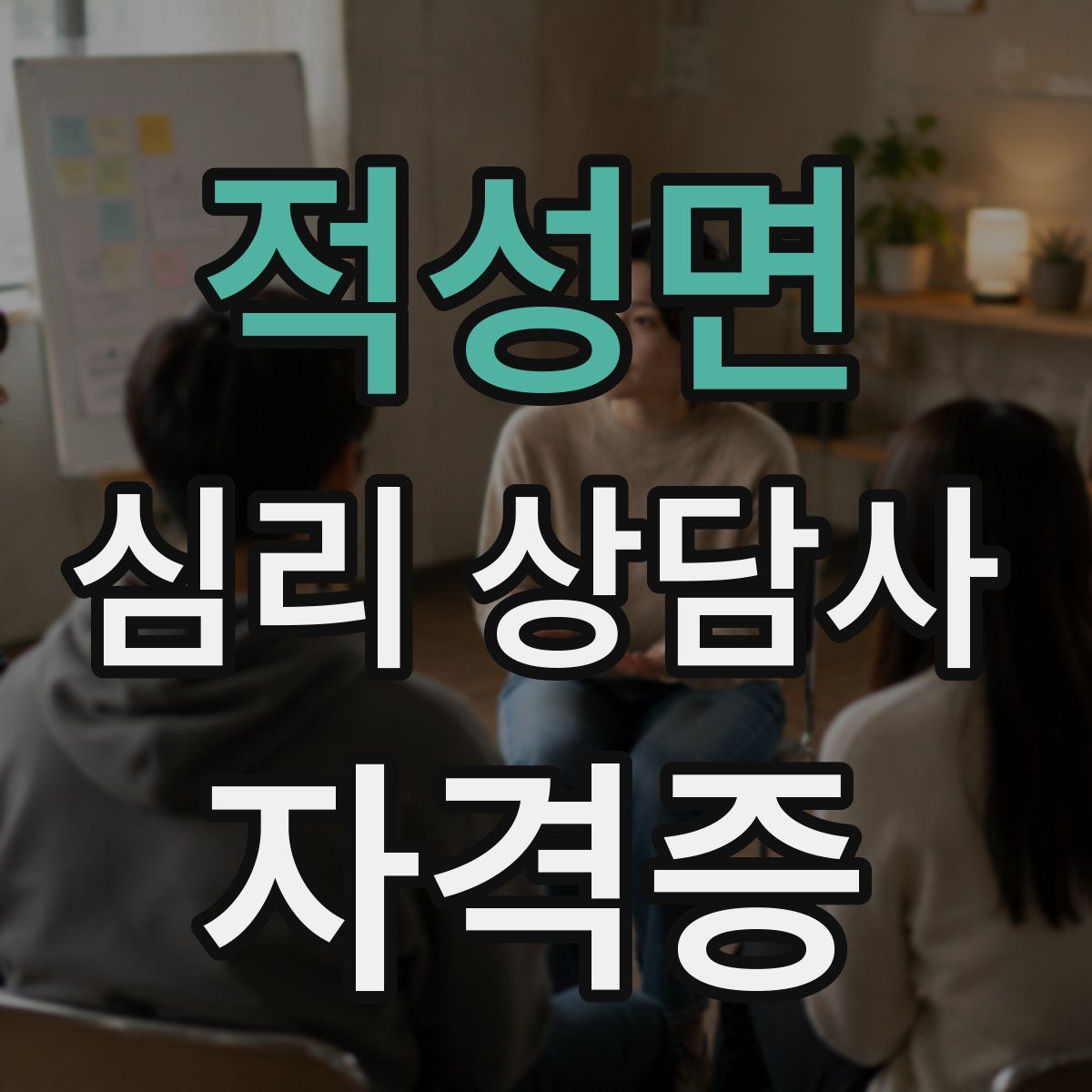 적성면 심리 상담사 자격증